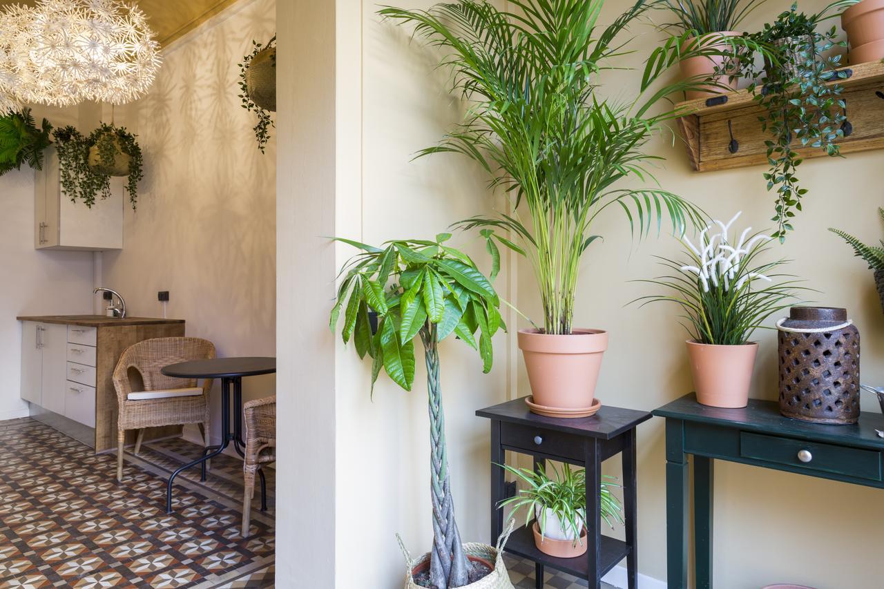 Casa Maca Barcelona (Adults Only) Hotel Exterior photo